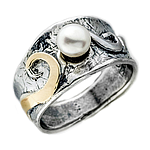 Silver and Gold Ring