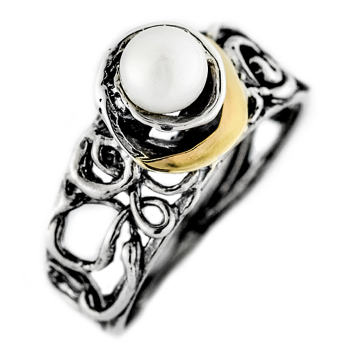 Silver and Gold Ring