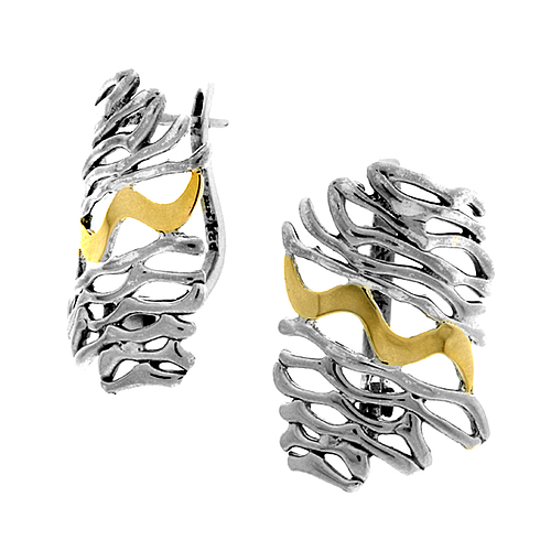 Silver and Gold Earrings