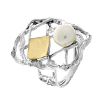 Silver and Gold Ring