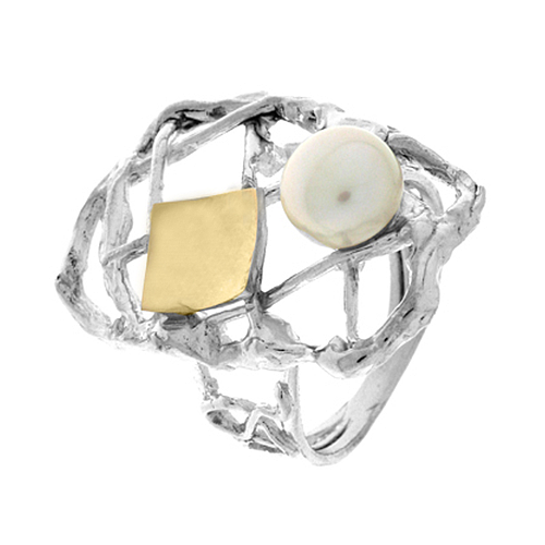 Silver and Gold Ring
