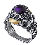 Silver and Gold Ring