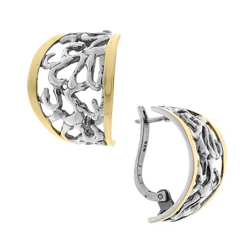 Silver and Gold Earrings