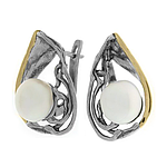 Silver and Gold Earrings