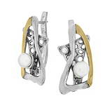 Silver and Gold Earrings