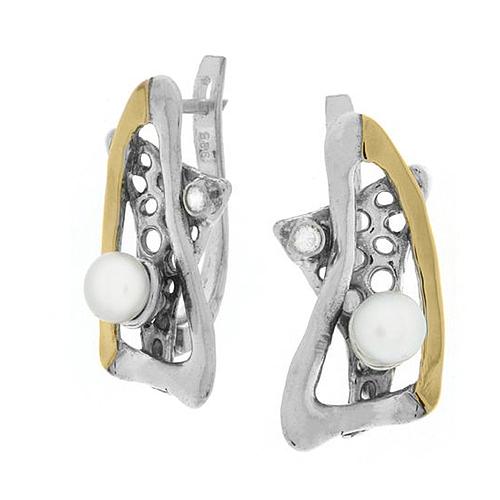 Silver and Gold Earrings