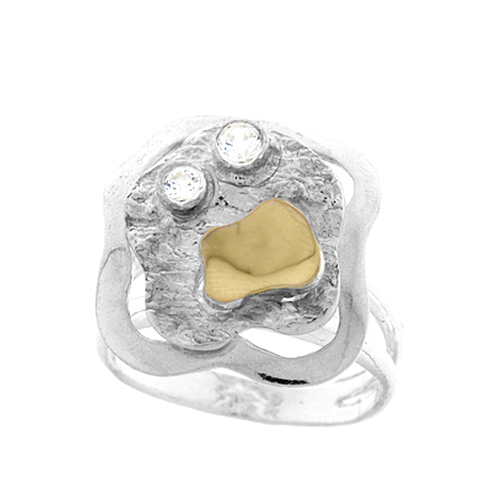 Silver and Gold Ring