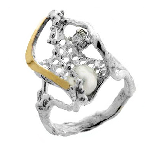 Silver and Gold Ring