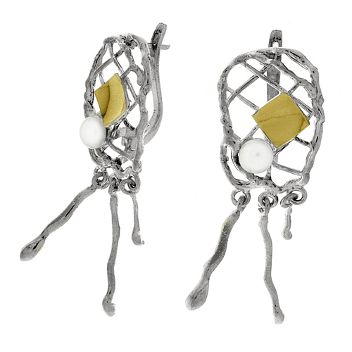 Silver and Gold Earrings