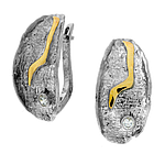 Silver and Gold Earrings