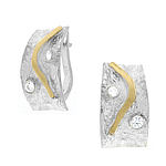 Silver and Gold Earrings