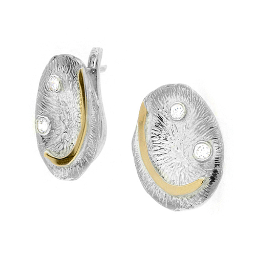 Silver and Gold Earrings