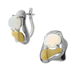 Silver and Gold Earrings