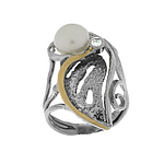 Silver and Gold ring