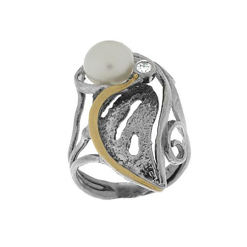 Silver and Gold ring