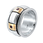 Silver and Gold Spinner Ring