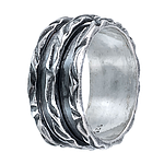 Silver Spinner Ring