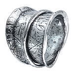 Silver Spinner Ring