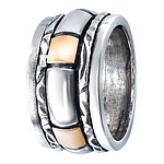 Silver and Gold Ring