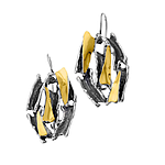 Silver and Gold Earrings