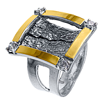 SIlver and Gold Ring