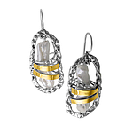 Silver and Gold Earrings