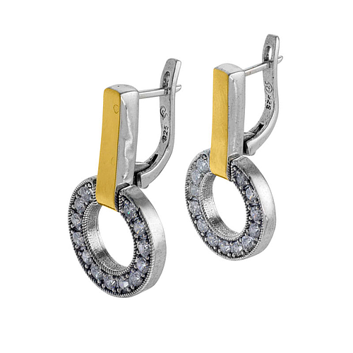 Silver and Gold Earrings