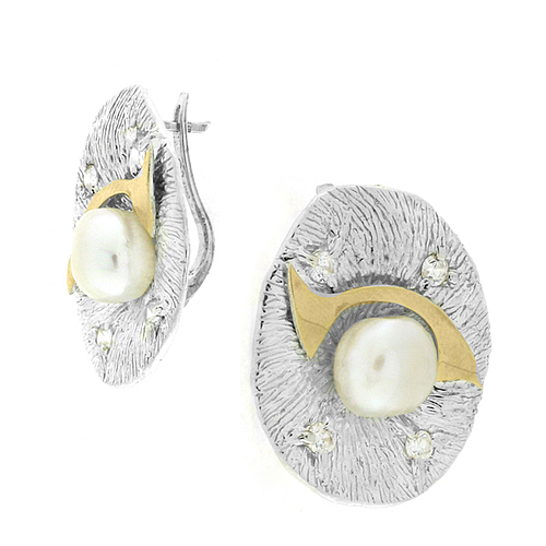 Silver and Gold Earrings