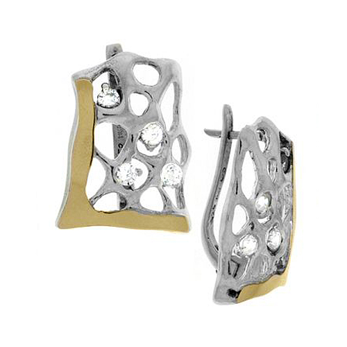 Silver and Gold Earrings