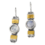 Silver and Gold Earrings