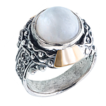 Silver and Gold Ring