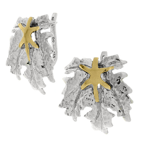 Silver and Gold Earrings