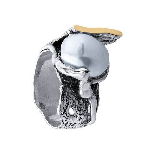 Silver and Gold Ring 