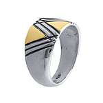 Silver and Gold Ring