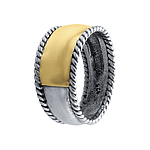 Silver and Gold Ring