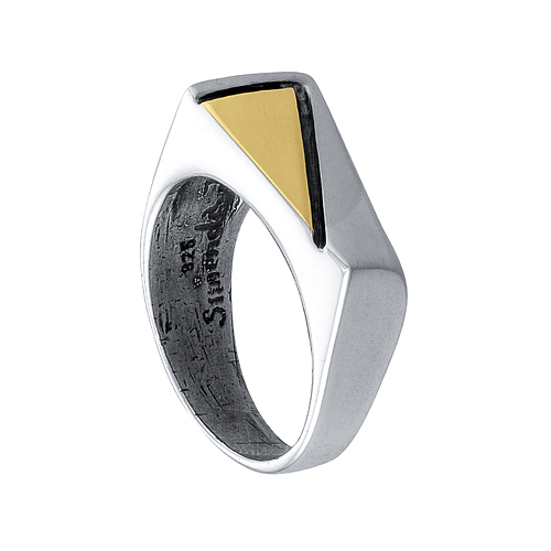 Silver and Gold Ring