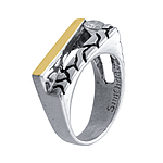 Silver and Gold Ring