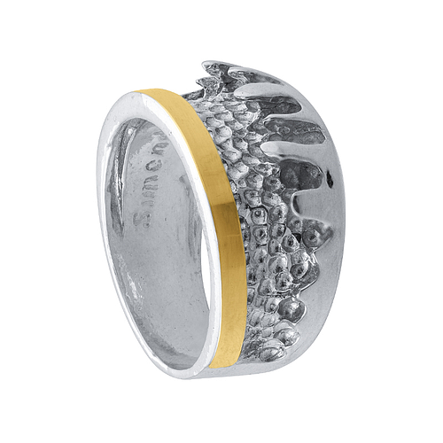 Silver and Gold Ring