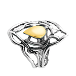 Silver and Gold Ring