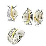 Silver and Gold Set