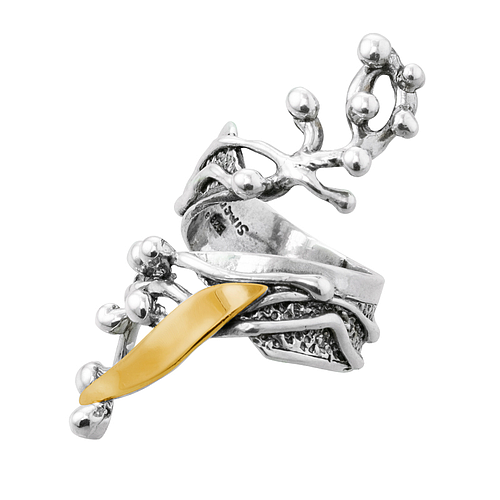 Silver and Gold Ring