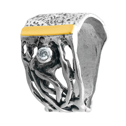 Silver and Gold Ring