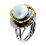 Silver and Gold Ring