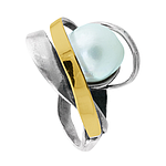 Silver and Gold Ring