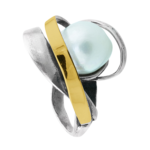 Silver and Gold Ring