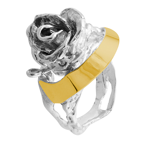 Silver and Gold Ring 