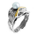 Silver and Gold Ring