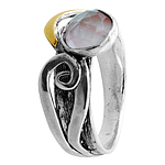 Silver and Gold Ring