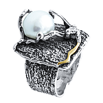 Silver and Gold Ring