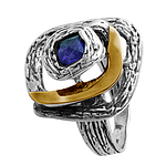 Silver and Gold Ring